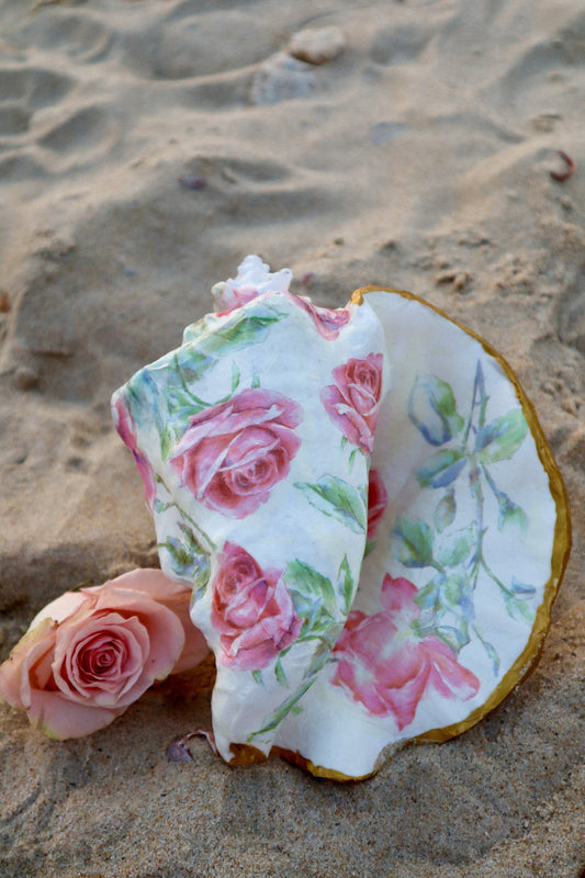 Romantic Rose Conch Shell