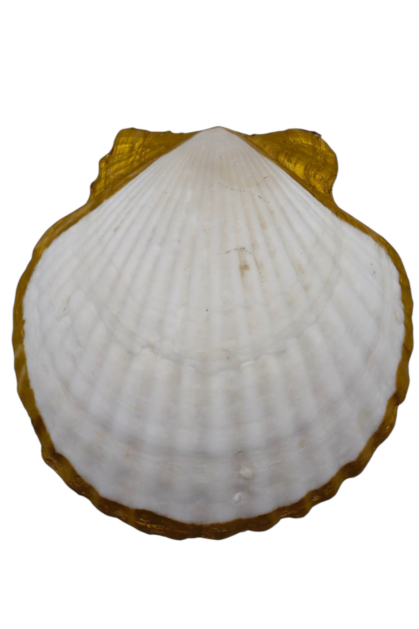 Purple Flower Scallop Ring Dish