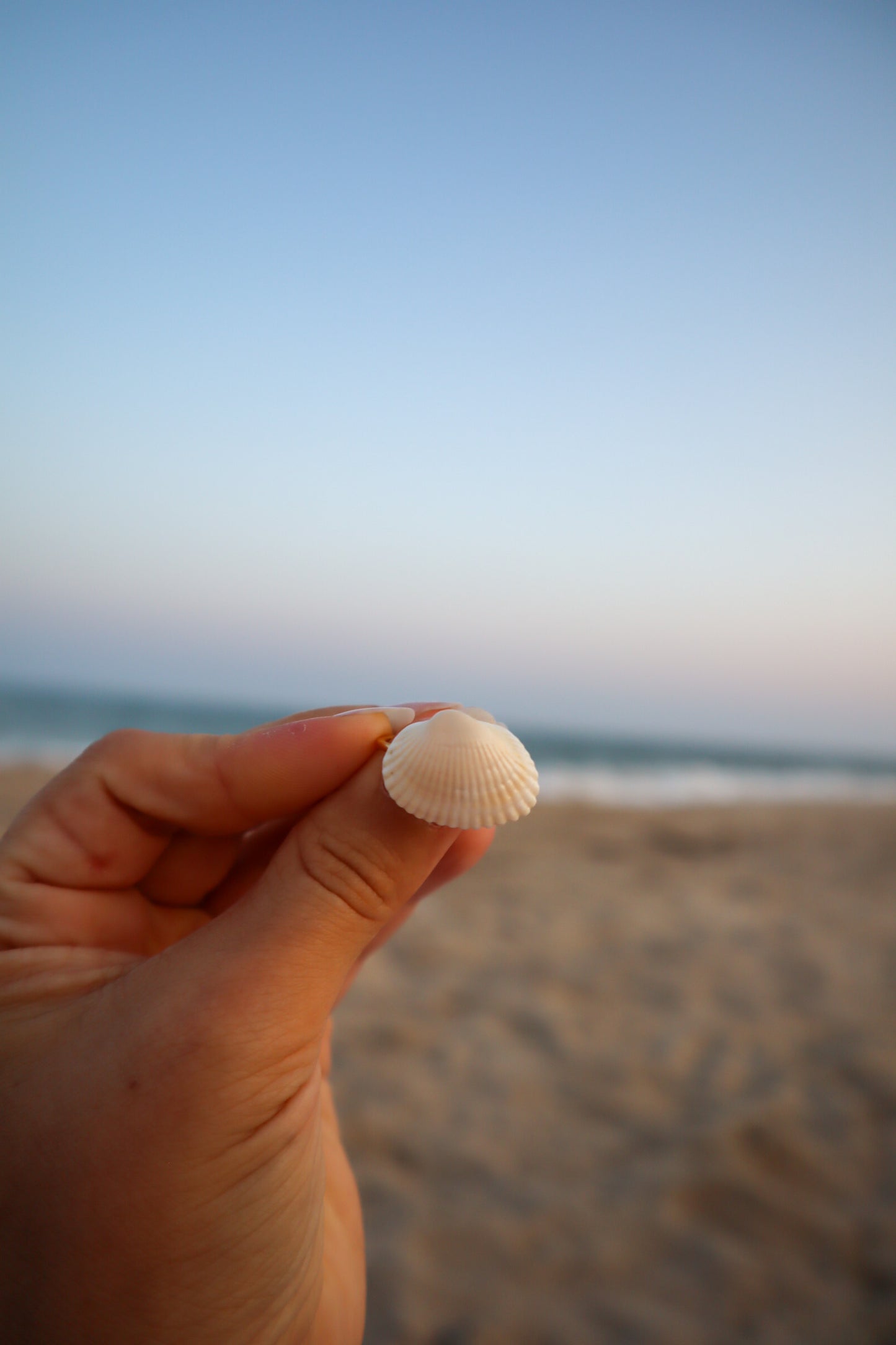 By the Seashore False Angel Wing Adjustable Ring