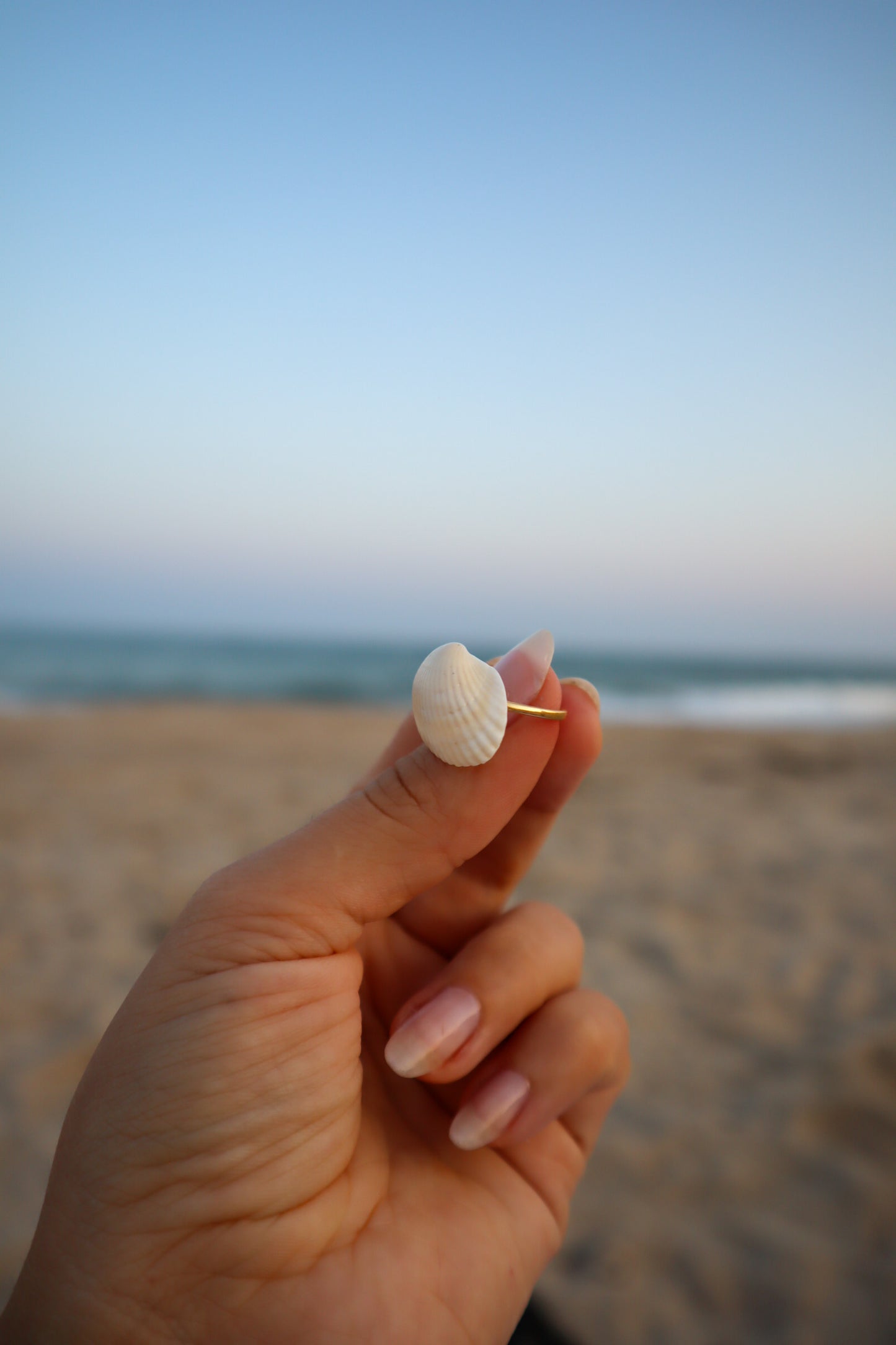 By the Seashore False Angel Wing Adjustable Ring