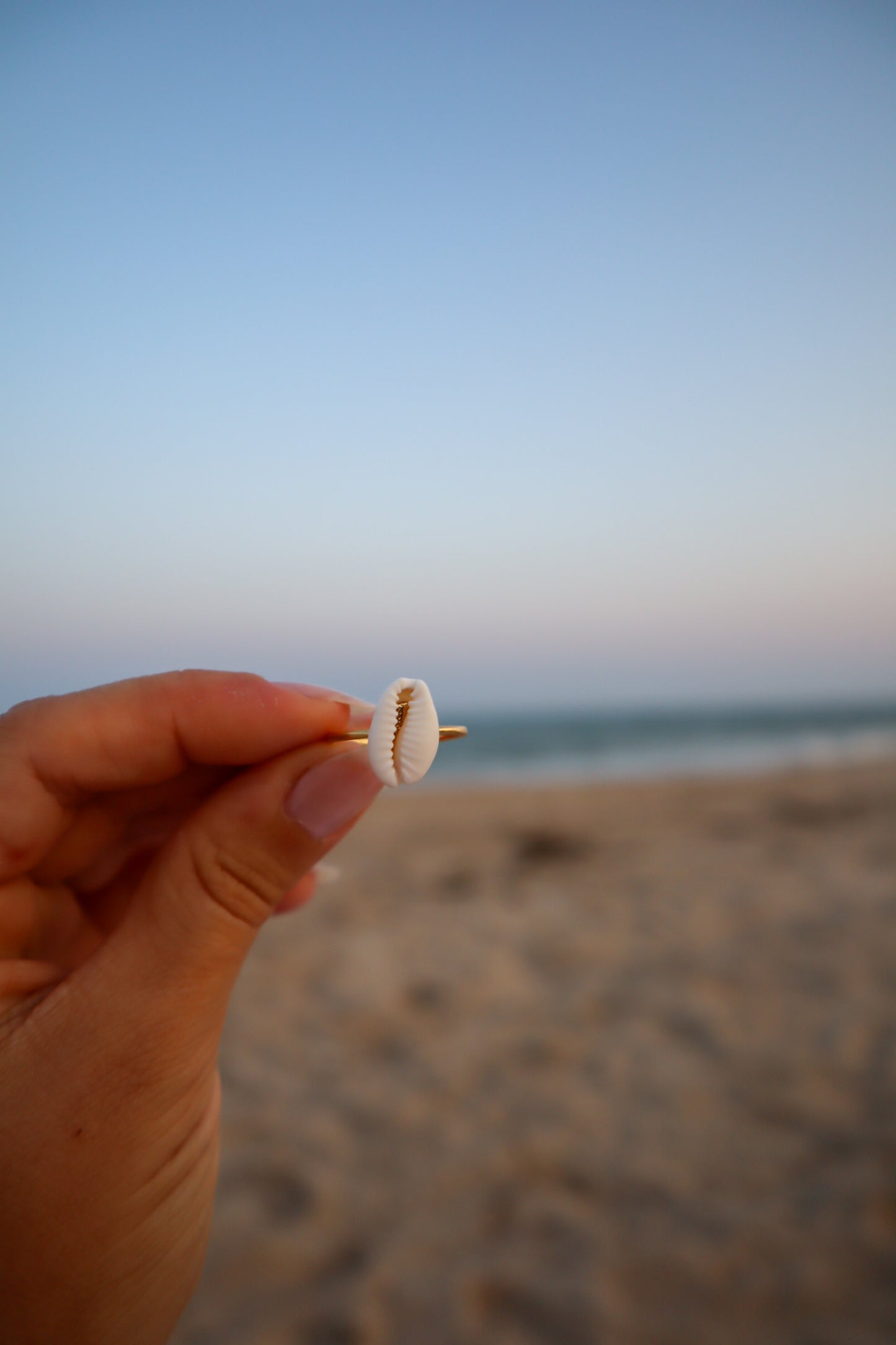 By the Seashore Cowrie Adjustable Ring