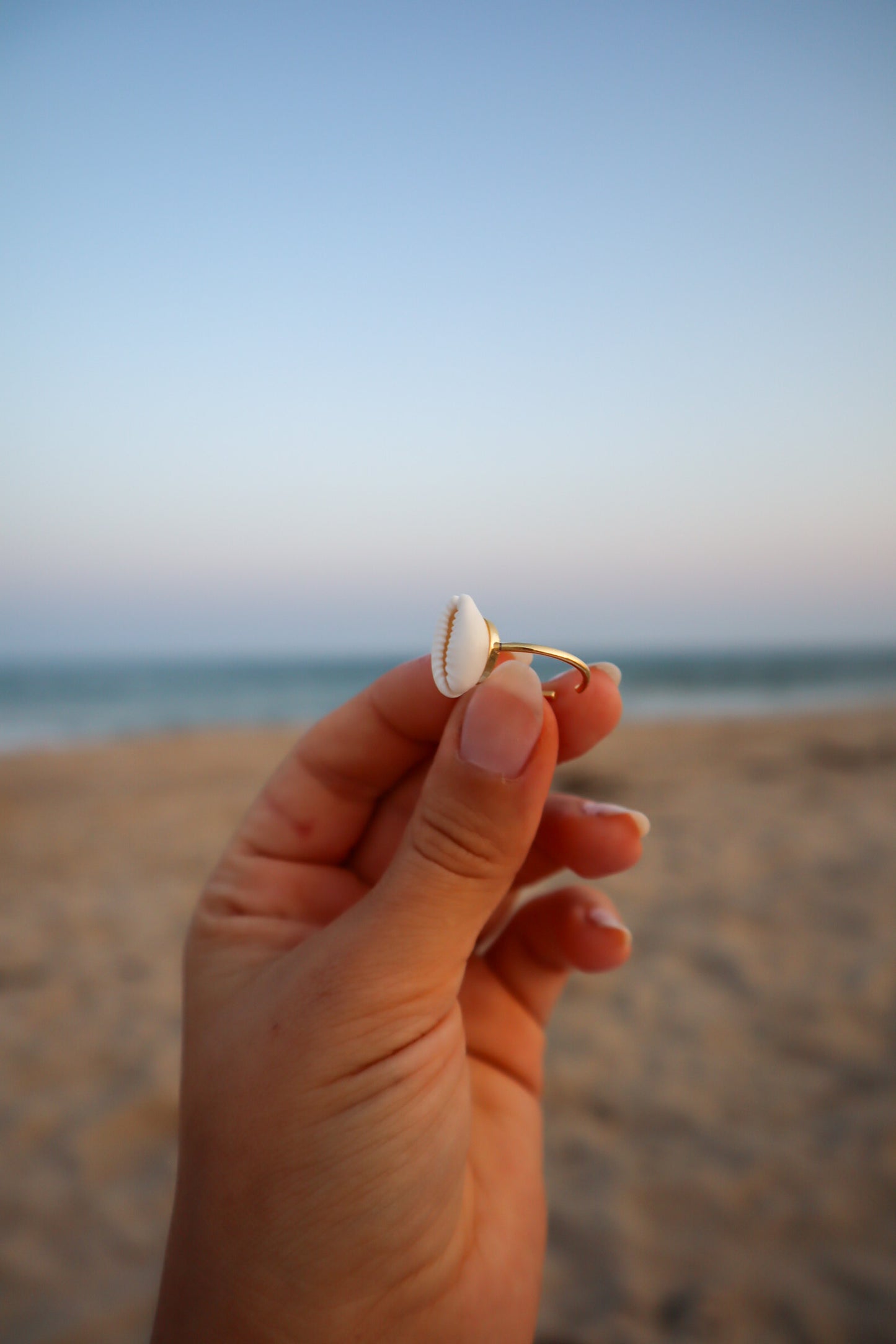 By the Seashore Cowrie Adjustable Ring