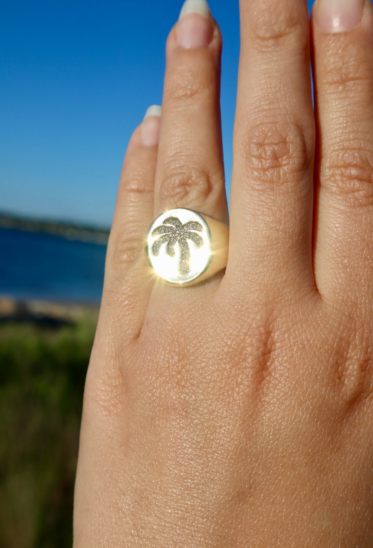 Palm Ring